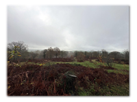 Hembury to Holne: A Continuity of English Life