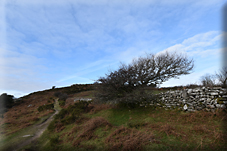 Leusdon and Dr Blackall’s Drive: A Winter Walk through History
