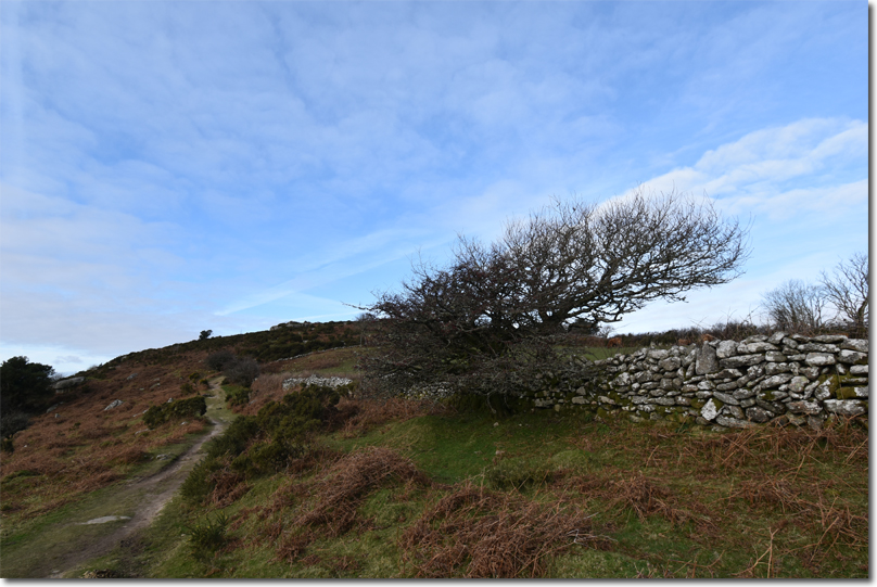 Dr Blackall's Drive