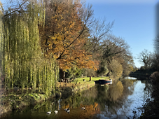Reflections Along the Grand Western Canal: Ghosts, Gallantry, and the Stories of Sampford Peverell