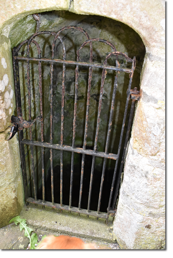 St Sampson's Golant