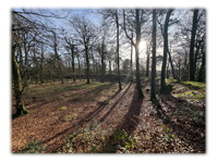 Woodbury Castle