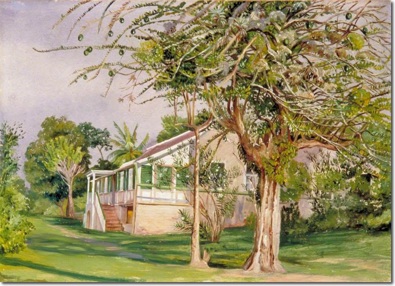 Bermuda Mount, Jamaica