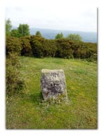 William Stone Boundary Marker